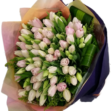 100pcs Holland Tulips Bouquet Valentines Day